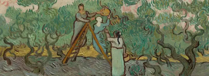 Harvesters in a field