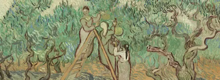 Harvester in a field